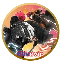 8livevip