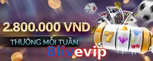 8livevip
