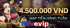 8livevip