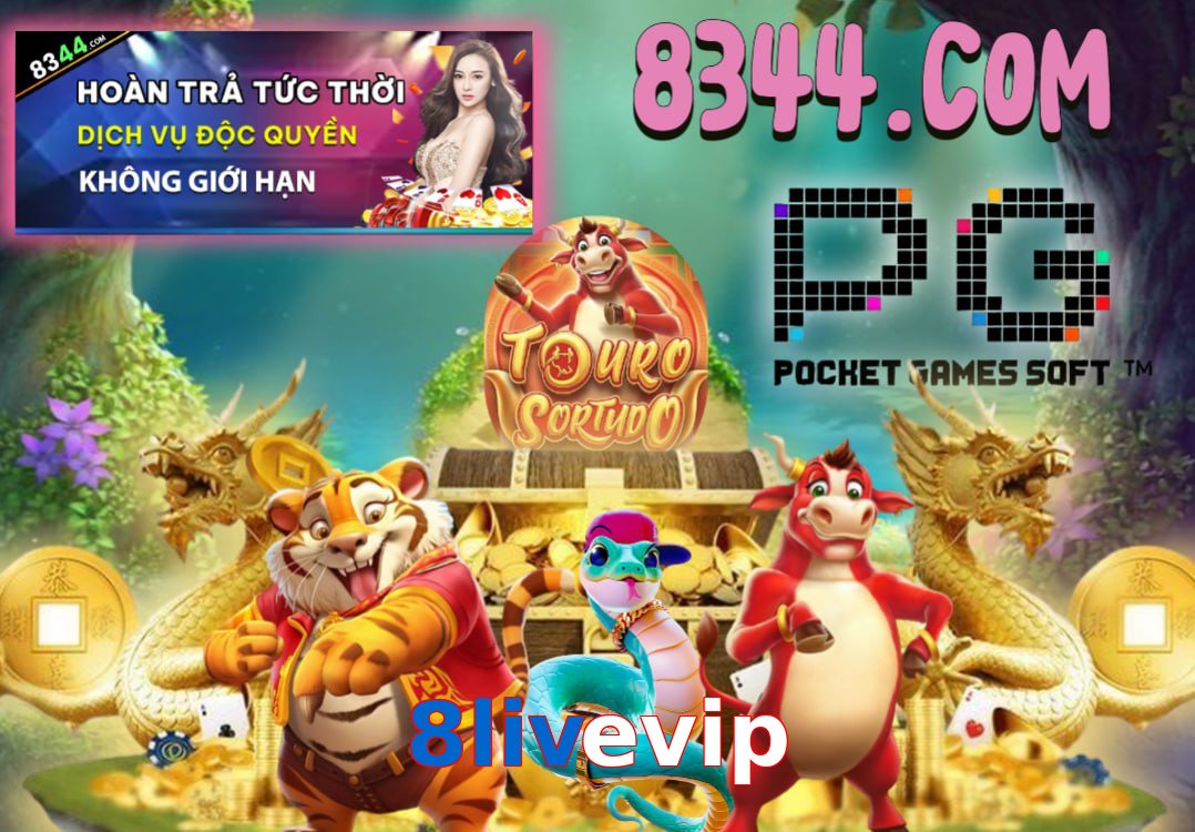 8livevip