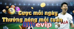 8livevip